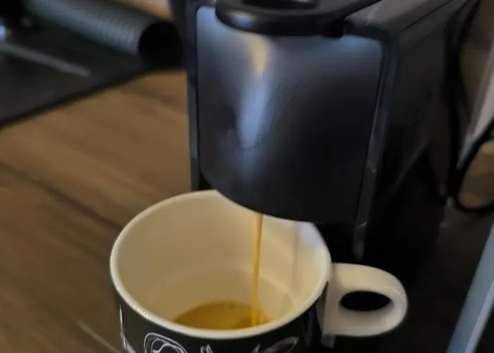 Mina Lux Daire Paraćin